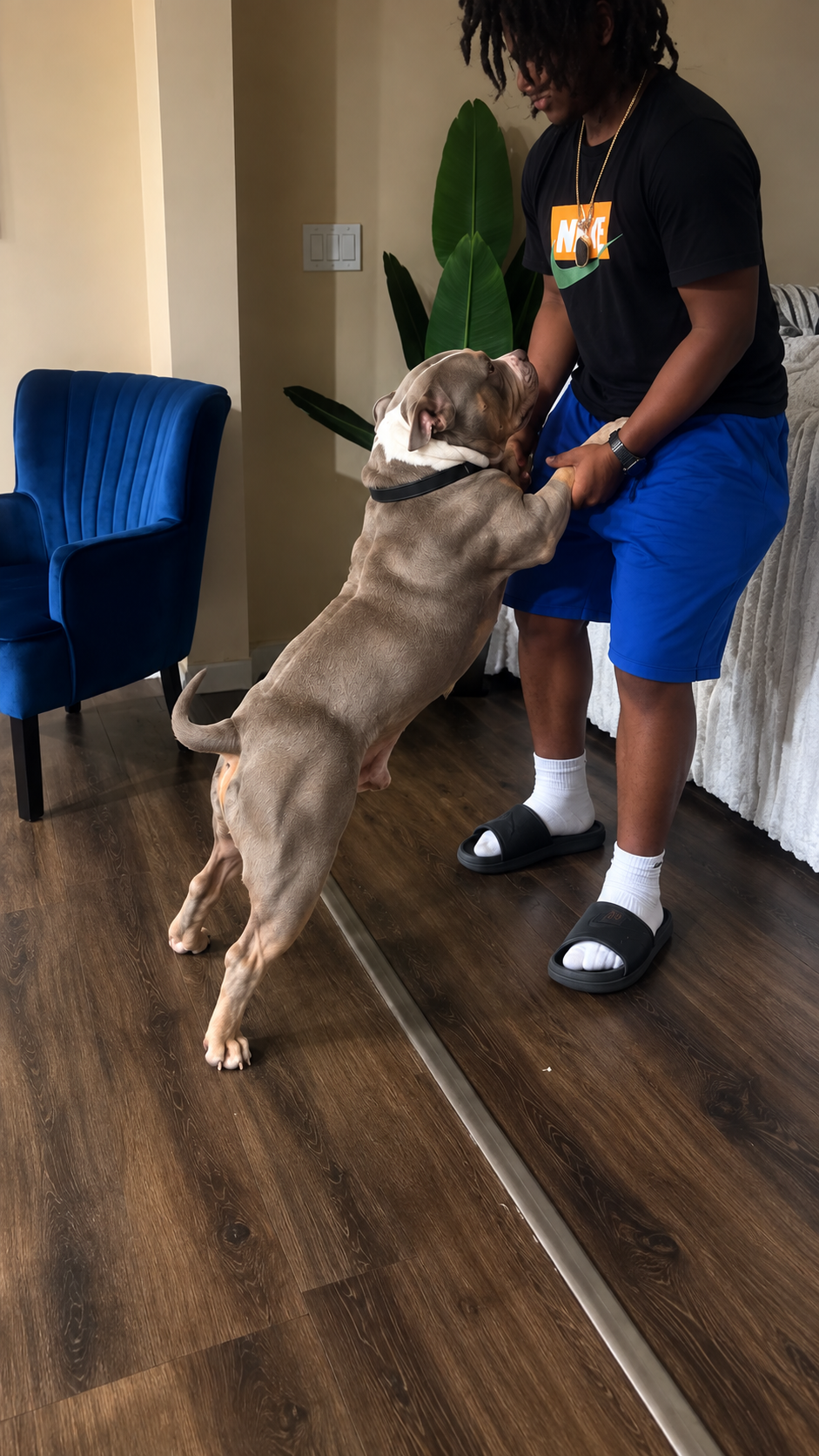 Baby Tank showing his build and muscle tone