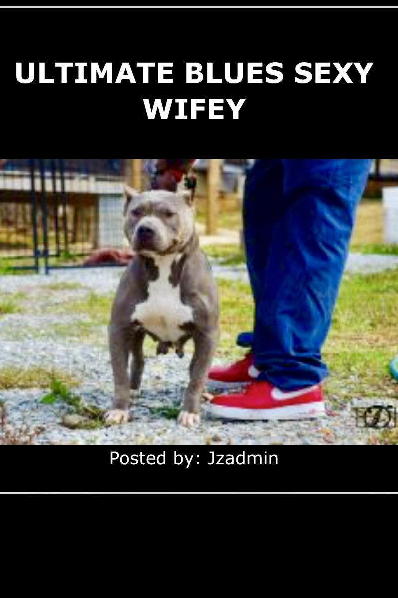 Ultimate Blues Sexy Wifey