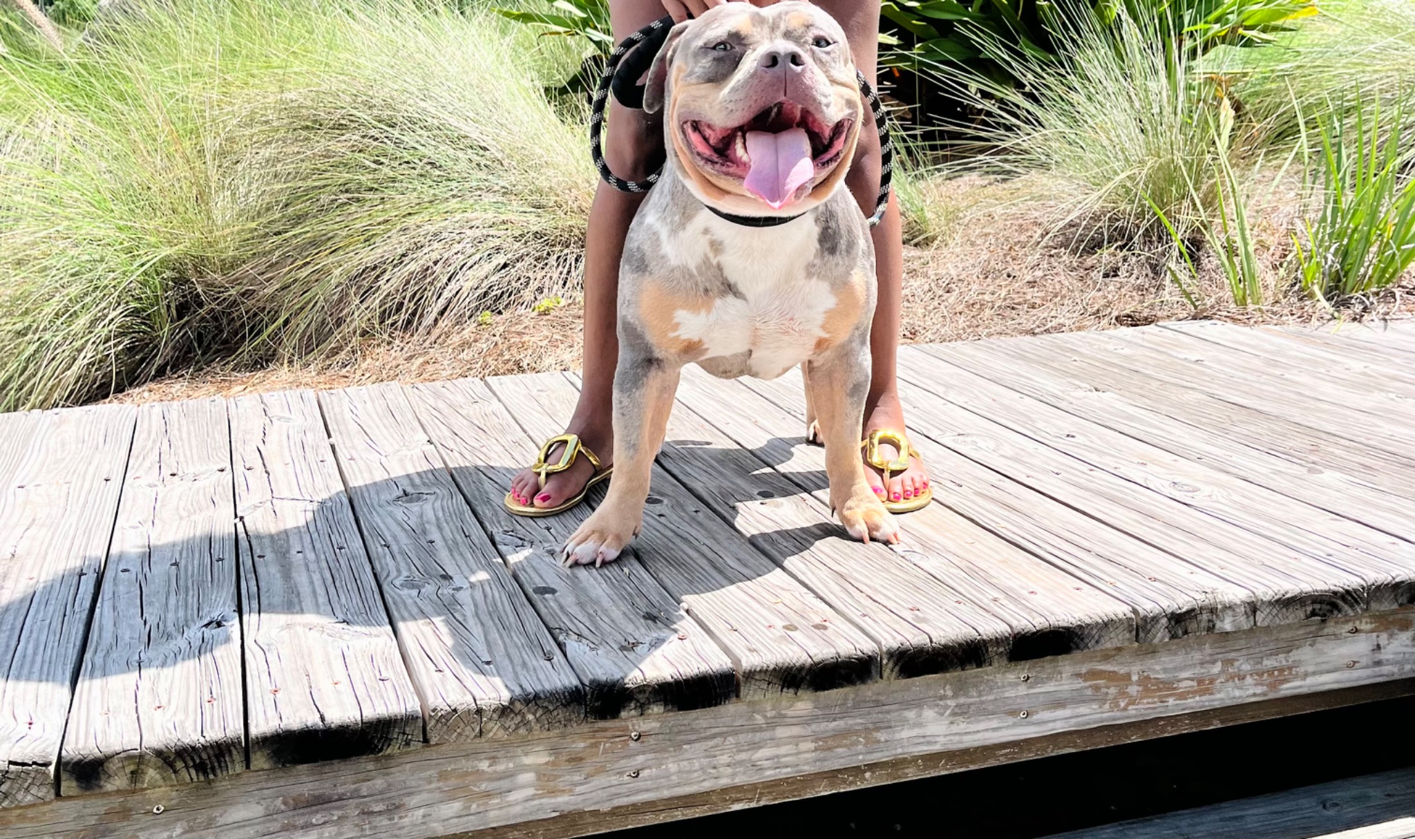 Tank with Talia Riley outdoors